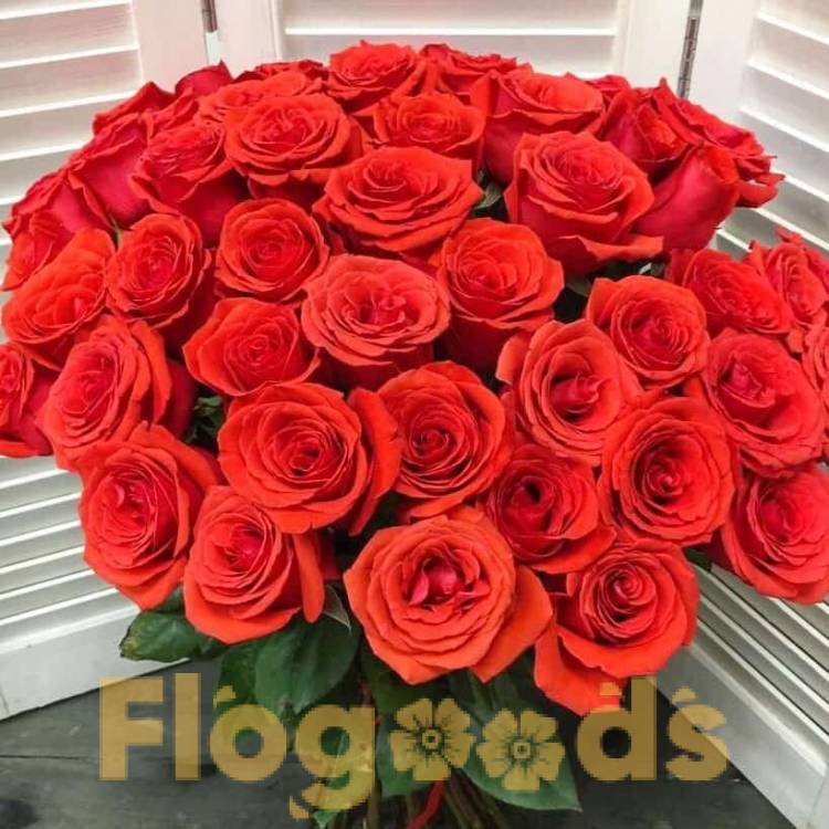 51 красная роза за 19 533 руб.